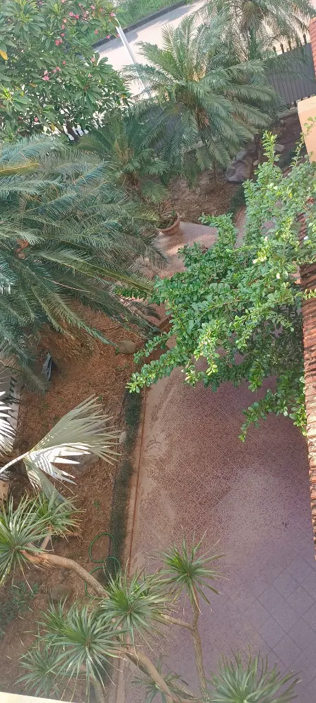 anh truoc nha 2 - Copy.webp